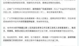 深圳金深小洋最新爆料,揭秘行业背后惊人内幕